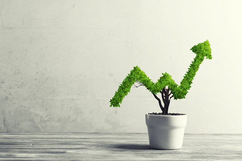 Investment and Growth